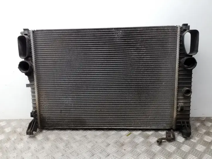 Mercedes-Benz E W211 (2002 - 2009) A2115003102 Радиатор охлаждающей жидкости двигателя — фото 1