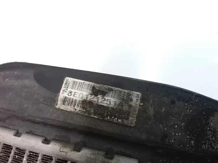 Audi A4 S4 B6 8E 8H (2000 - 2006) 8E0121251A Радиатор охлаждающей жидкости двигателя — фото 3
