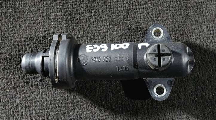 C74145110 BMW 5 E39 EGR termostatas