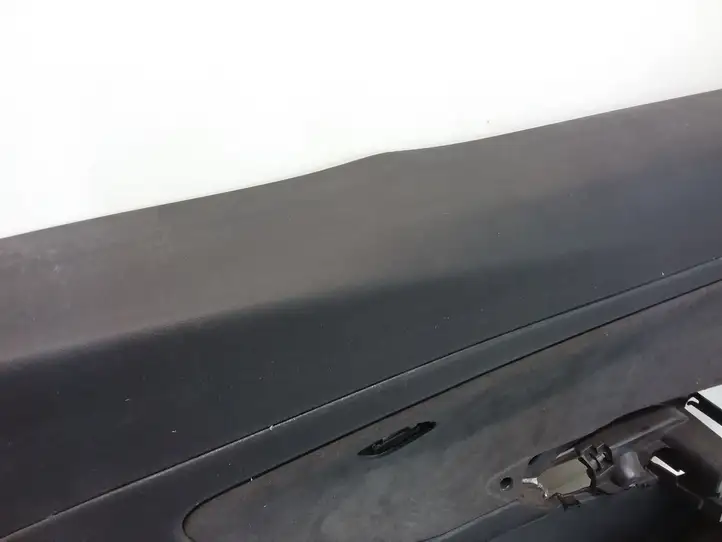 Tesla Model 3 (2017 - 2023) 107718445C Обшивка передней двери — фото 4