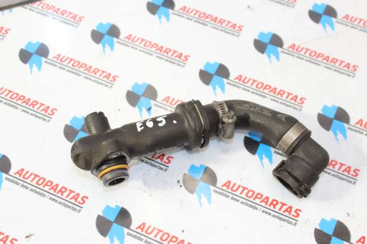 7792622 BMW 7 E65 E66 EGR termostatas