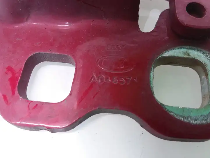 Tesla Model 3 (2017 - 2023) A046571 Нижняя петля задней двери — фото 3
