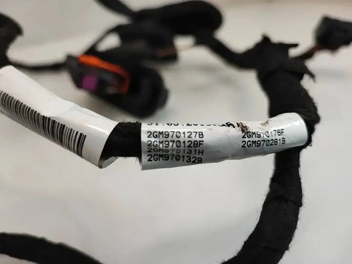 Volkswagen T-Cross (2017 - ) 2GM970127B Проводка передней двери — фото 4