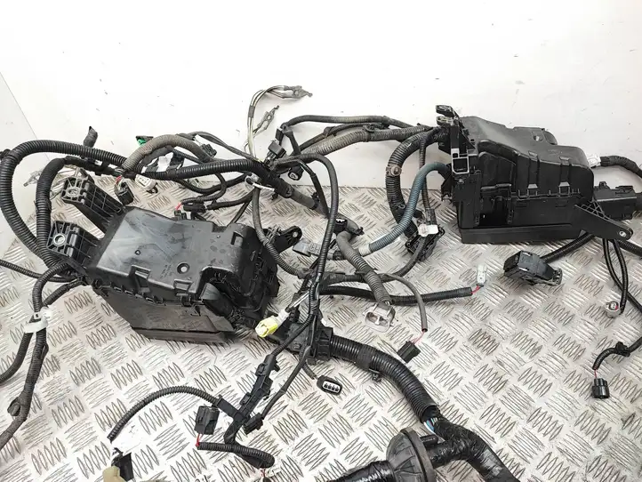 Toyota RAV 4 (XA40) (2012 - 2018) 1801110120 Проводка двигателя — фото 13