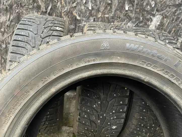 Ford Focus (2008 - 2011) 20555R1694T Зимняя шина шипованная R16 — фото 6