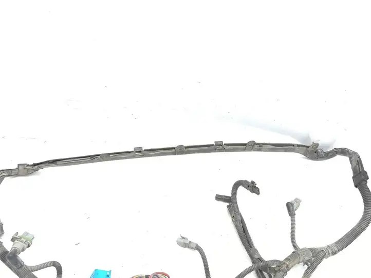 Renault Avantime (2001 - 2005) 6025406563 Прочая электропроводка — фото 4