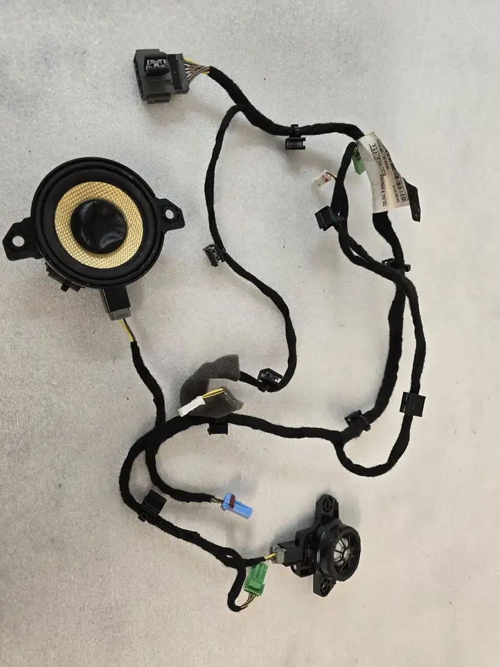 Volvo XC90 (2014 - 2019) 31456665 Динамики задних дверей — фото 1