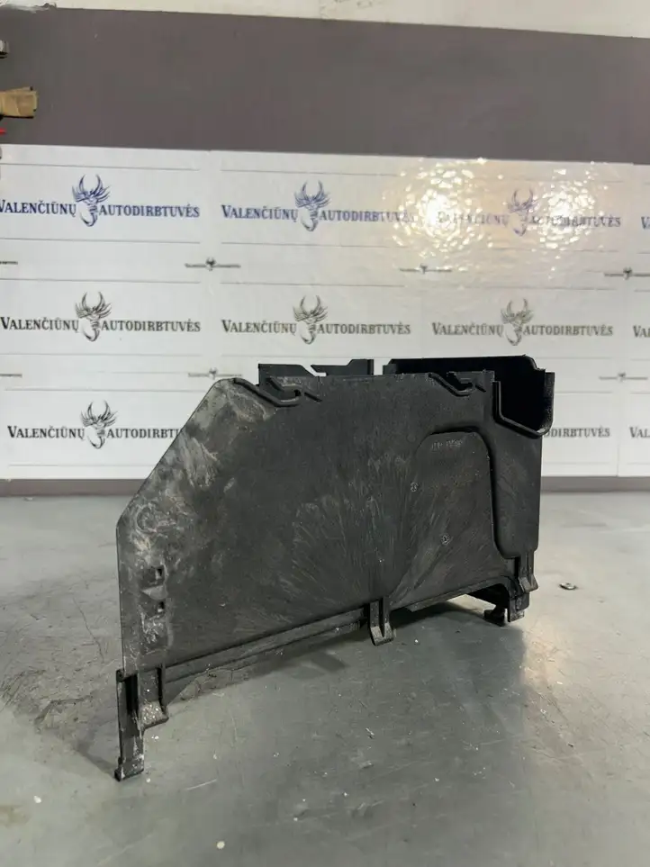 Mercedes-Benz B-class W246 (2014 - 2018) A2465410205 Перегородка аккумулятора — фото 1