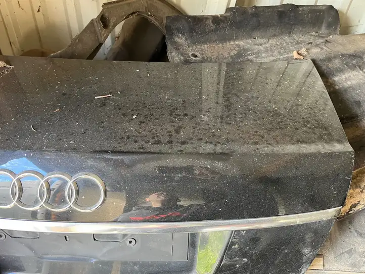 Audi A6 Allroad C5 (2000 - 2006) Нижняя петля задней двери — фото 1