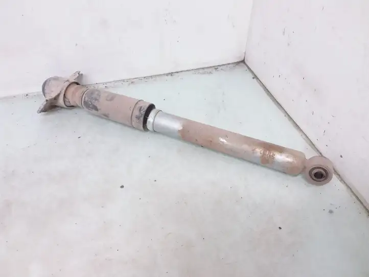 Volkswagen PASSAT B6 (2005 - 2010) R015212G Задний aмортизатор — фото 1
