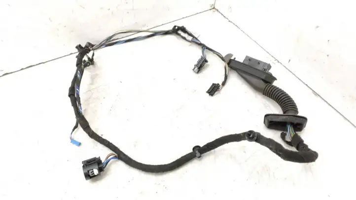 BMW X1 E84 (2009 - 2015) 9269940 Проводка передней двери — фото 1