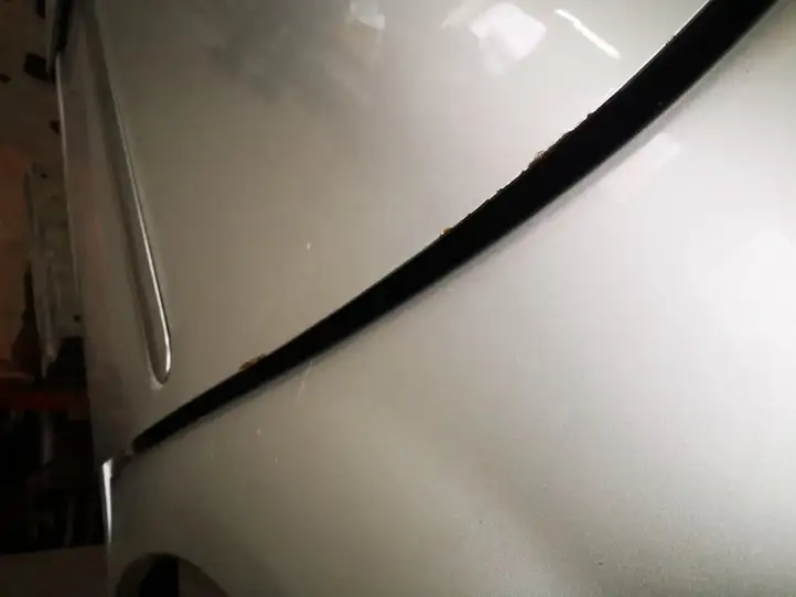 Toyota Avensis Verso (2001 - 2004) Задняя дверь — фото 4