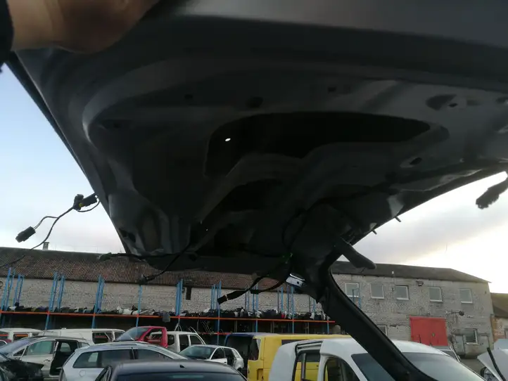Citroen C4 I Picasso (2006 - 2013) Крышка багажника — фото 2