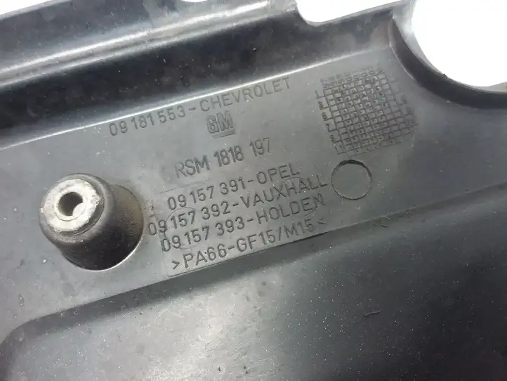 Opel Meriva A (2002 - 2006) 09157391 Крышка двигателя декоративная — фото 3