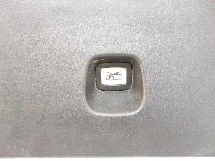 Tesla Model Y (2019 - 2024) 169348000A Кнопка закрытия крышки багажника — фото 3