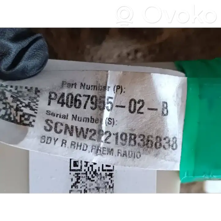 Tesla Model 3 (2017 - 2023) 406795502B Правый жгут проводов салона — фото 2