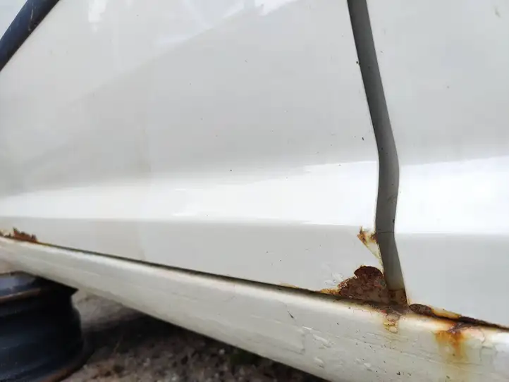 Volkswagen Caddy (2004 - 2010) Дверь — фото 4