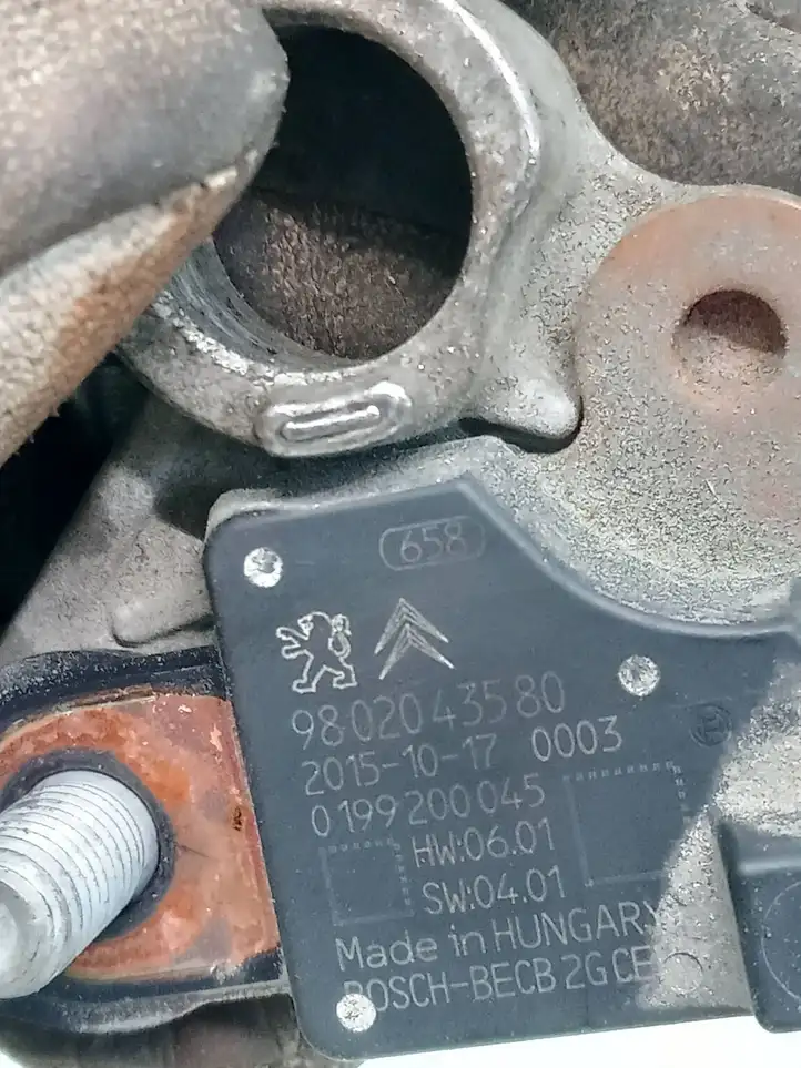 Peugeot Partner (2015 - 2018) 9802043580 Минусовой провод аккумулятора — фото 2