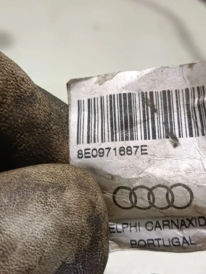 Audi A4 S4 B6 8E 8H (2000 - 2006) 8E0971687E Проводка задней двери — фото 4