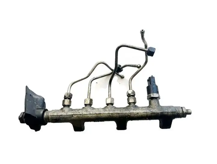 Renault Vel Satis (2002 - 2005) 0445214025 Магистральная топливная трубка — фото 1