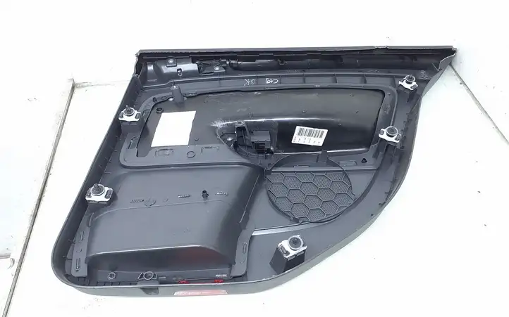 Volkswagen Golf V (2003 - 2009) 1K4867487 Обшивка задней двери — фото 3