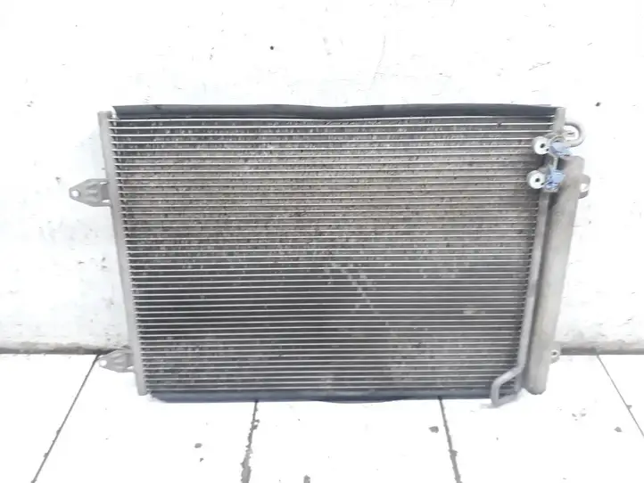 Volkswagen PASSAT B6 (2005 - 2010) 3C0820411C Радиатор кондиционера — фото 1