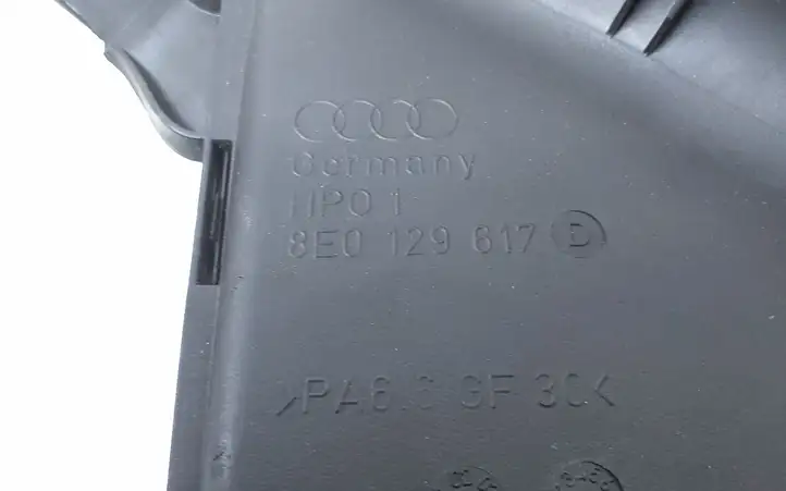 Audi A4 S4 B6 8E 8H (2000 - 2006) 8E0129617D Детали воздухозаборника — фото 4