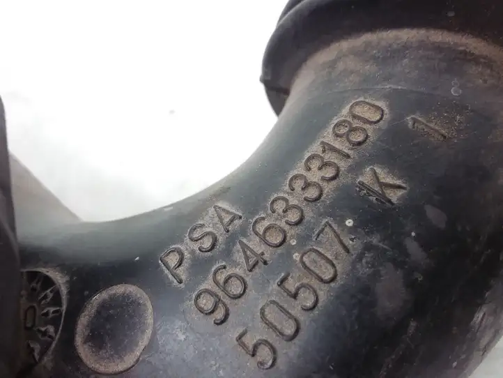 Peugeot 206 (1998 - 2012) 9646333180 Детали воздухозаборника — фото 3