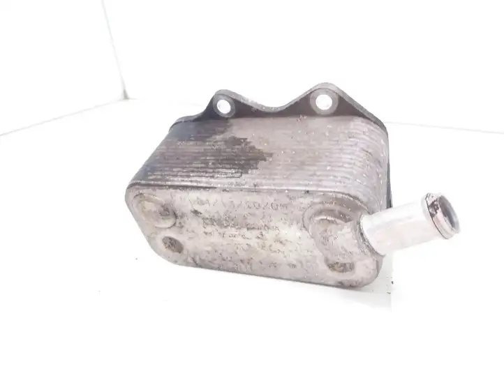 Volkswagen PASSAT B6 (2005 - 2010)  06D117021C Кронштейн масляного фильтра