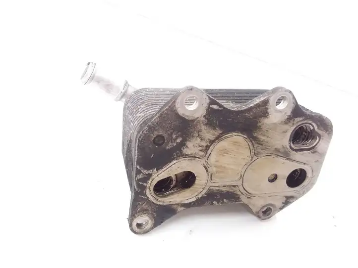 Volkswagen PASSAT B6 (2005 - 2010)  06D117021C Кронштейн масляного фильтра