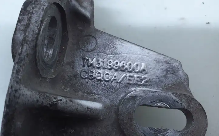 Volkswagen Sharan (2000 - 2003) 7M3189600A Кронштейн двигателя — фото 4