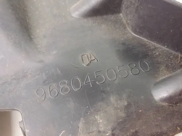 Peugeot Partner (2002 - 2008) 9680450580 Дефлектор воздуха — фото 4