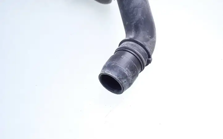Volvo S80 (2004 - 2006) 30699202 Горловина бачка омывателя — фото 3