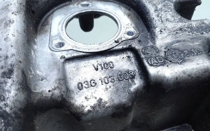 Volkswagen Touran I (2003 - 2010) 03G103603AD Картер двигателя — фото 4
