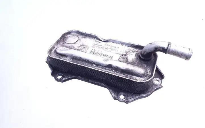 Toyota Avensis T250 (2006 - 2009) 157100R01000 Кронштейн масляного фильтра — фото 1