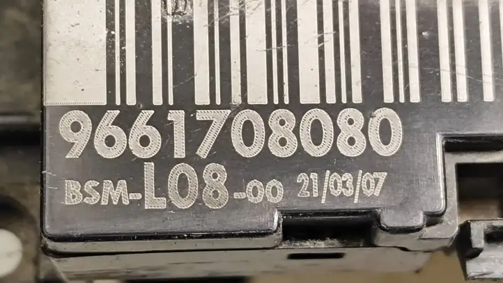 Citroen C4 I Picasso (2006 - 2013) 9661708080 Блок предохранителей — фото 3