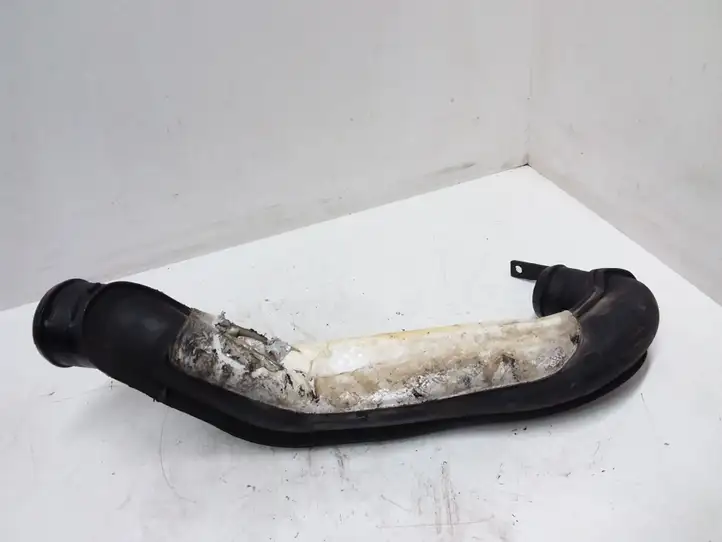 Citroen Xsara Picasso (1999 - 2012) 9631719080A Детали воздухозаборника — фото 1