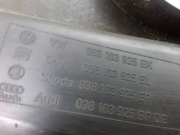 Volkswagen Golf IV (1998 - 2005) 038103925EK Крышка двигателя декоративная — фото 3