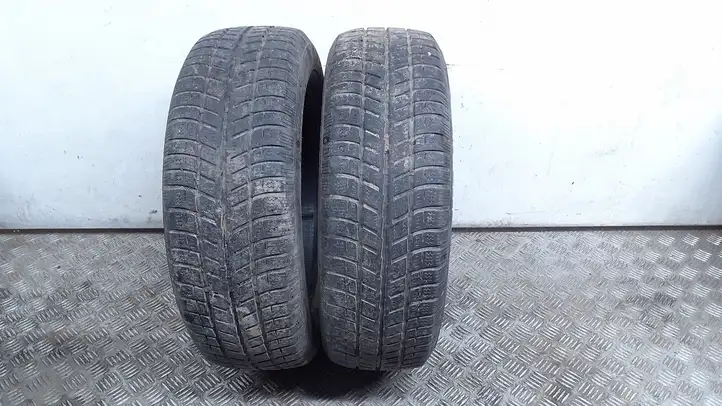 Opel Astra G (1998 - 2004) 18565R1588T Зимняя шина R15 — фото 1