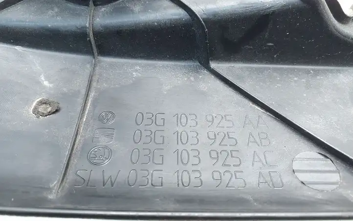 Volkswagen PASSAT B6 (2005 - 2010) 03G103925AA Крышка двигателя декоративная — фото 4