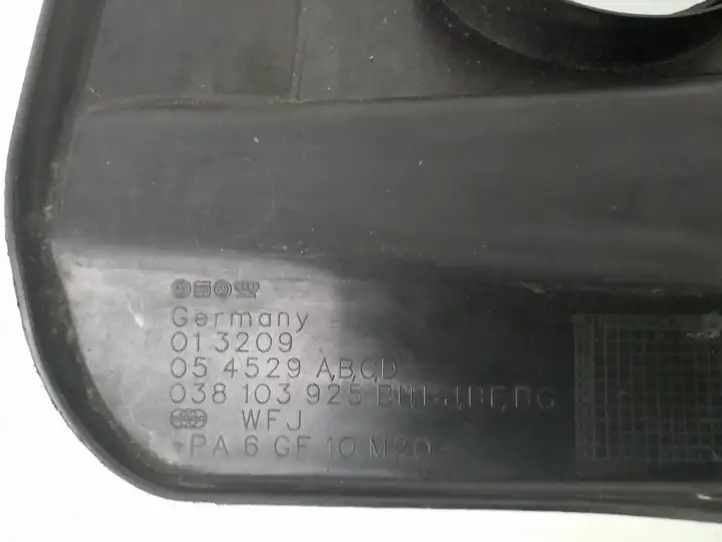 Volkswagen Golf IV (1998 - 2005) 038103925 Крышка двигателя декоративная — фото 3
