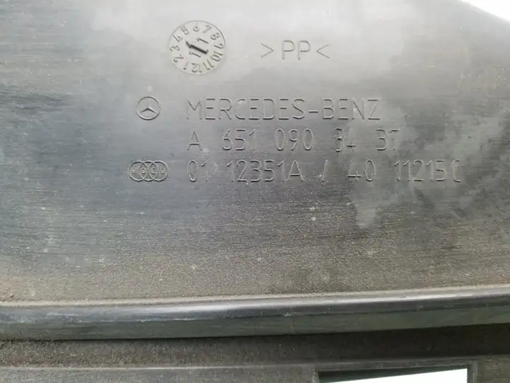 Mercedes-Benz E W212 (2009 - 2016) A6510903437 Детали воздухозаборника — фото 3