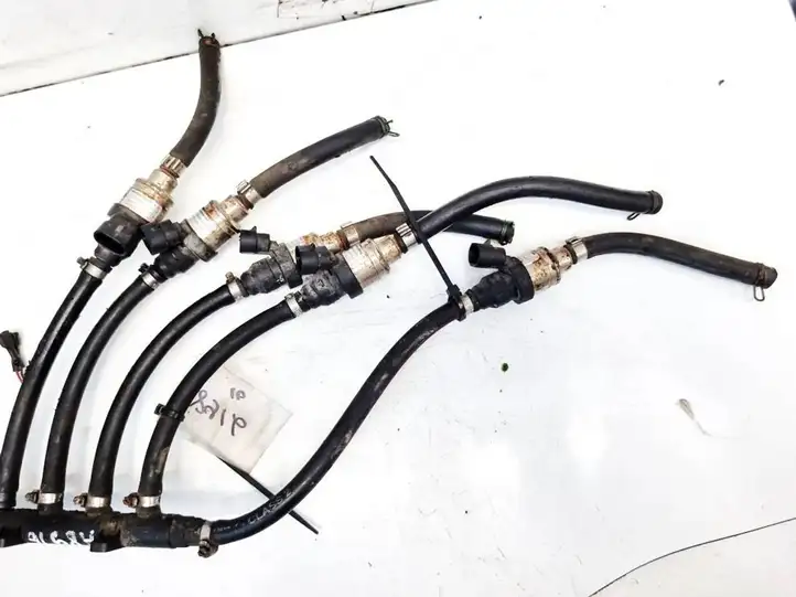 Ford Mondeo MK IV (2007 - 2014) 67R016812 Жиклер ГБО — фото 3