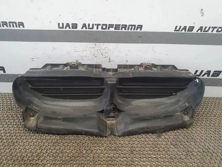 BMW 5 E60 E61 (2004 - 2010) 51117178116 Дефлектор воздуха — фото 8