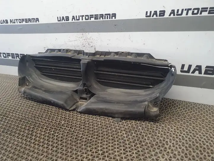 BMW 5 E60 E61 (2004 - 2010) 51117178116 Дефлектор воздуха — фото 10