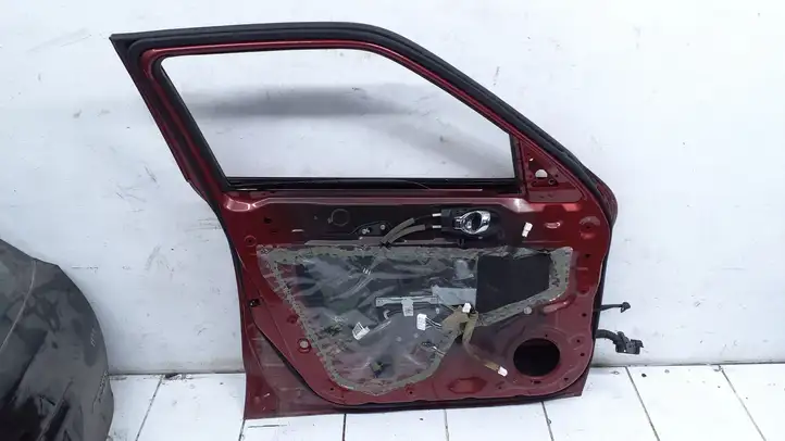 Nissan Juke I F15 (2010 - 2018) Дверь — фото 1