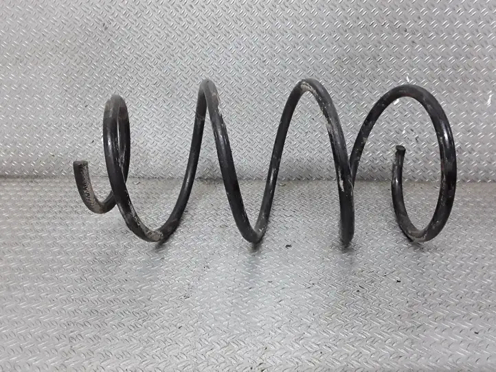 Alfa Romeo 156 (2002 - 2007) Пружина задней подвески — фото 1