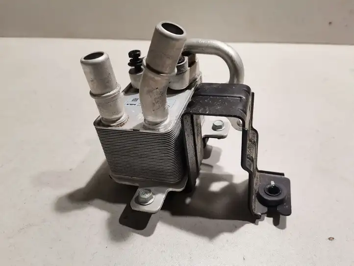 Kia EV6 (2021 - )  25670CV000 Вентилятор гибридного / электрического автомобиля