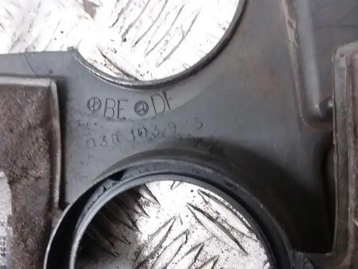 Volkswagen PASSAT B5.5 (2001 - 2005) 038103925BE Крышка двигателя декоративная — фото 3
