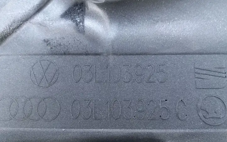 Volkswagen Tiguan (2007 - 2011) 03L103925 Крышка двигателя декоративная — фото 3